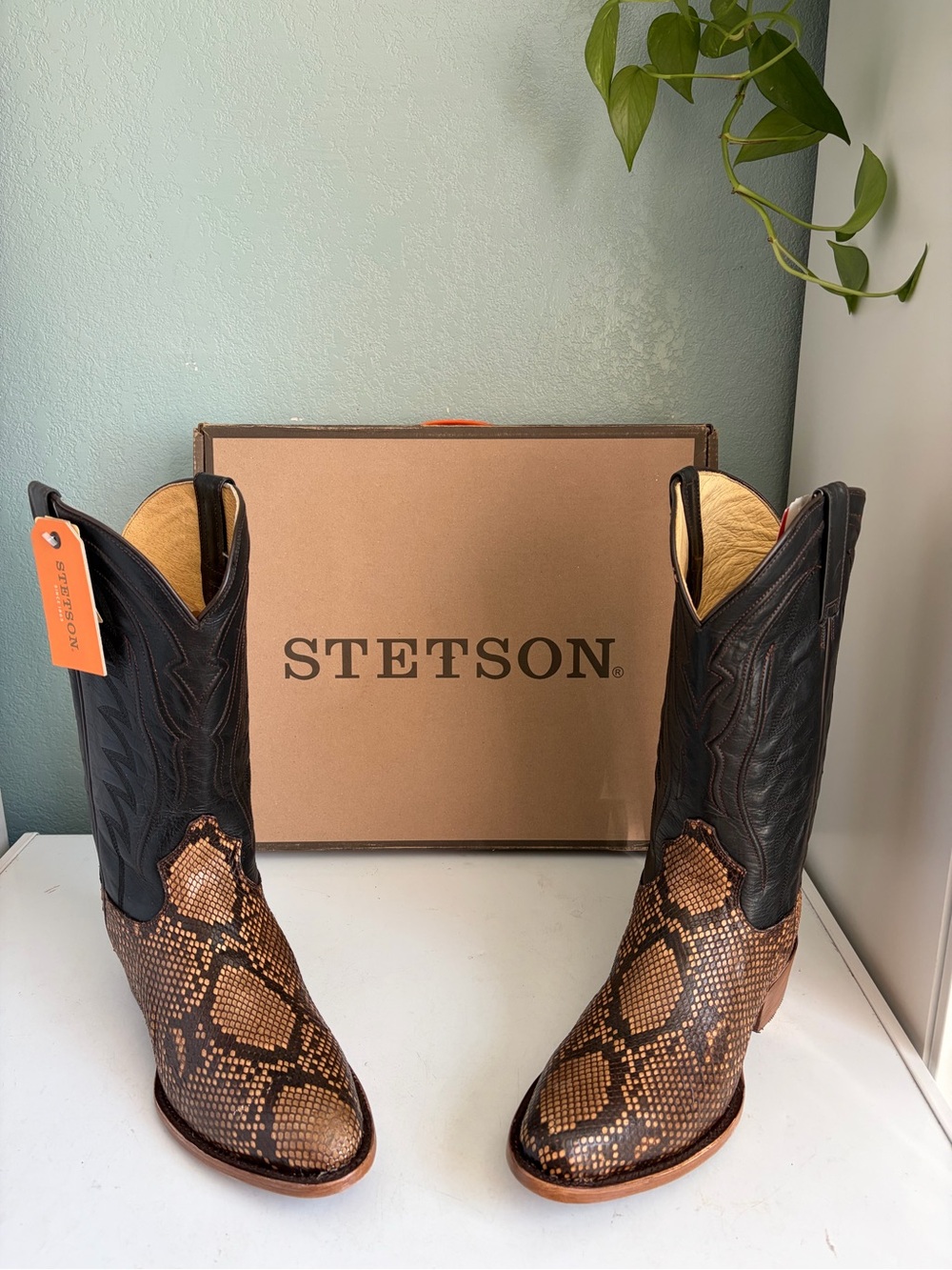 Stetson Python Cowboy western snake boots 10 D